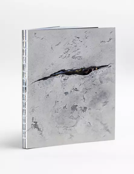 Concealed Landscapes Oscar Furbacken - Books - 9789189943582 - 1