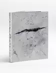 Concealed Landscapes Oscar Furbacken - Books - 9789189943582 - 1