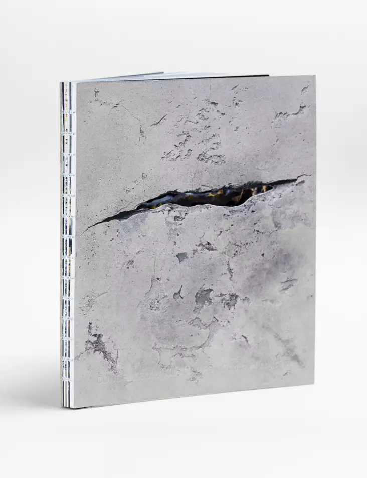 Concealed Landscapes Oscar Furbacken - Kirjat - 9789189943582 - 1