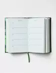 Malachite Green One Line a Day - Notebooks - 9781797225494 - 2