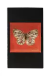 Rut Bryk matches butterfly orange - Rut Bryk - 2545 - 1