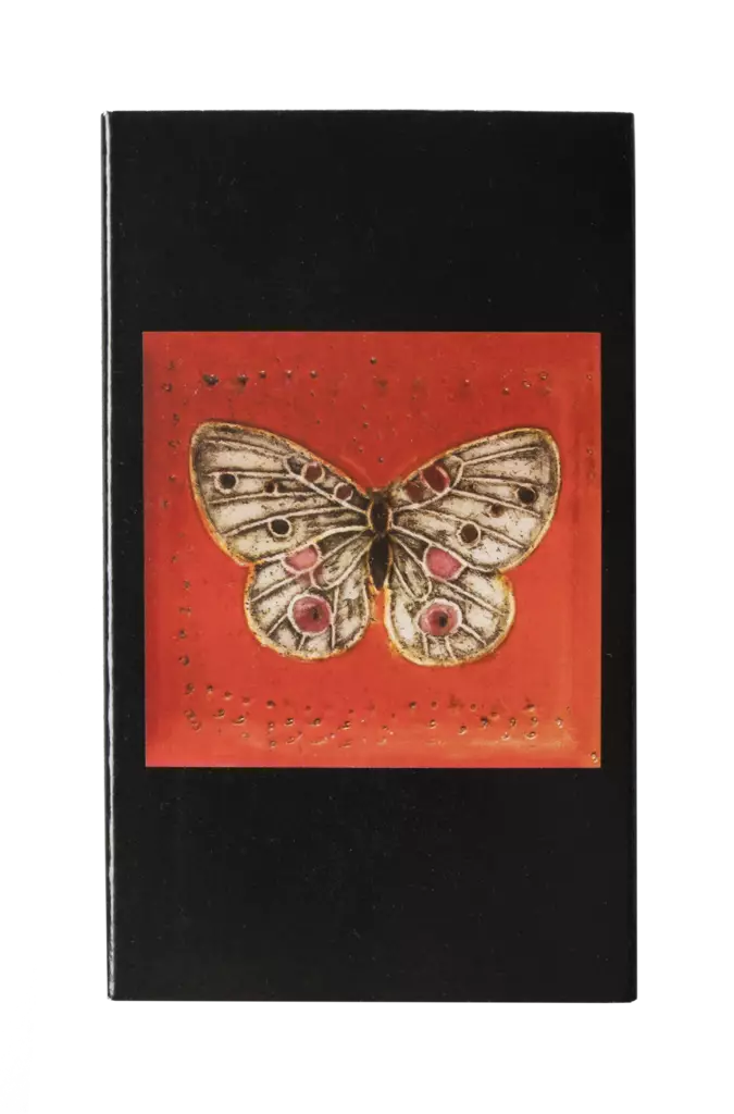 Rut Bryk matches butterfly orange - Rut Bryk - 2545 - 1