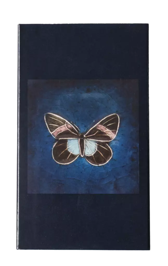 Rut Bryk-takkatikut perhonen sininen - Rut Bryk - 2546 - 1