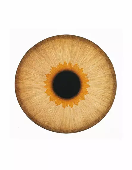 Ulla Wiggen-postikorttisetti 3 kpl - Julisteet & Postikortit - 2869 - 2