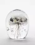 Teemu Kylvö - Medusa 6 - Art & Design - 3099 - 1