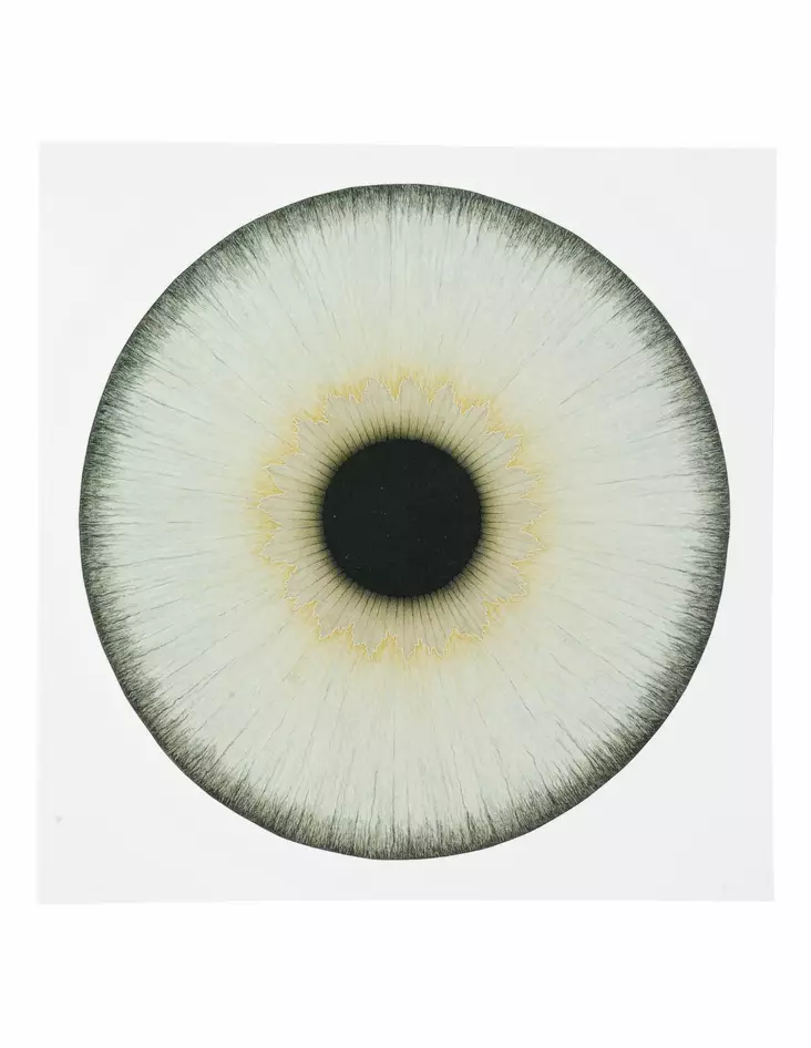 Ulla Wiggen-postikorttisetti 3 kpl - Julisteet & Postikortit - 2869 - 1