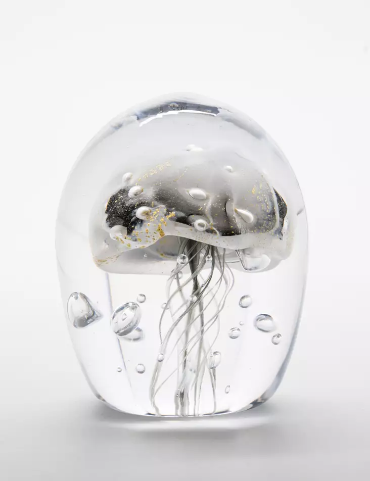Teemu Kylvö - Medusa 6 - Art & Design - 3099 - 1